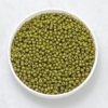 Perline Rocailles Toho 11/0 Col. Semi Glazed Olive (2601F) - 10 Gr